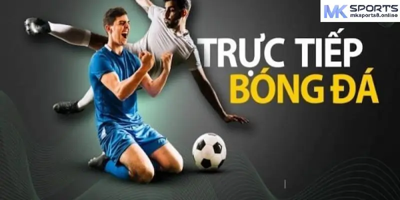 Giới thiệu về soi kèo bóng đá trực tuyến tại MKsports